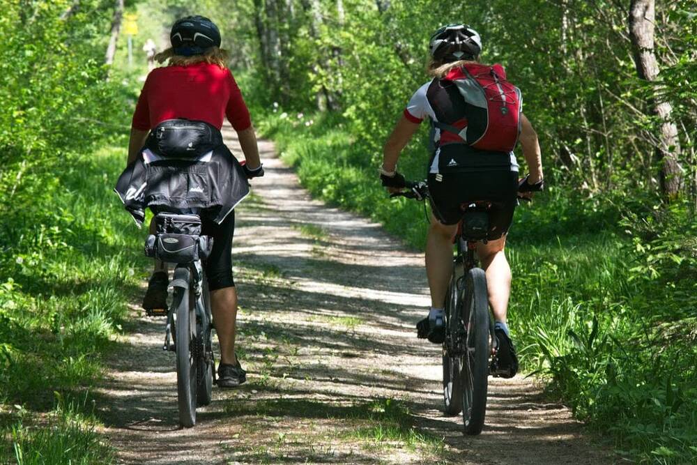 Zwei Fahrradfahrer bei ihrem Fahrradurlaub in Bayern, von hinten fotografiert, auf einem Feldweg durch einen sommerlichen Mischwald.