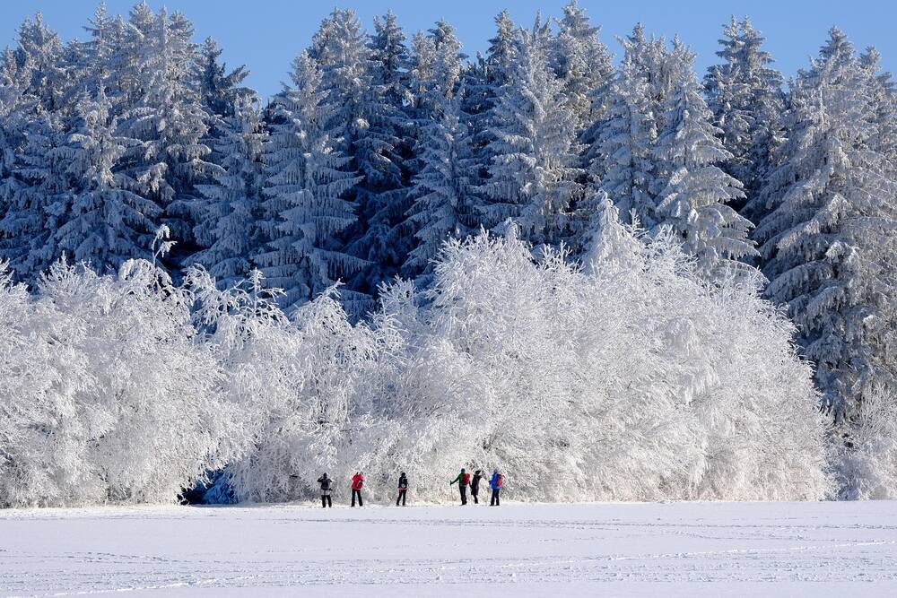 Winter holiday Upper Palatinate – winter hike through snowy scenery and frosted forests near the Hollerhöfe in Waldeck.