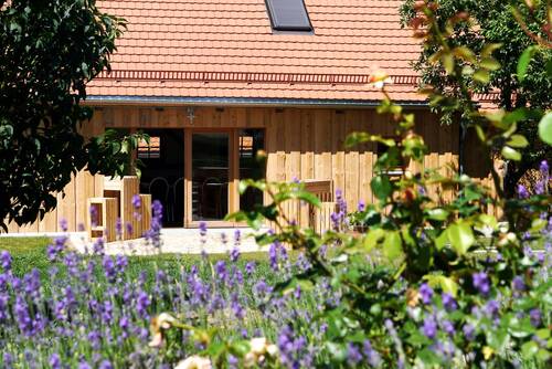 Stay3 pay2 angebot hollerhöfe waldeck