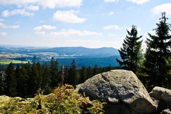 Ein Aussichtsbild von einem Berg mit Blick auf einen Wald mit Nadelbäumen und Dorfflächen im Hintergrund als Beispielbild für schöne Ausflugsziele bei einem Sommerurlaub in Bayern.
