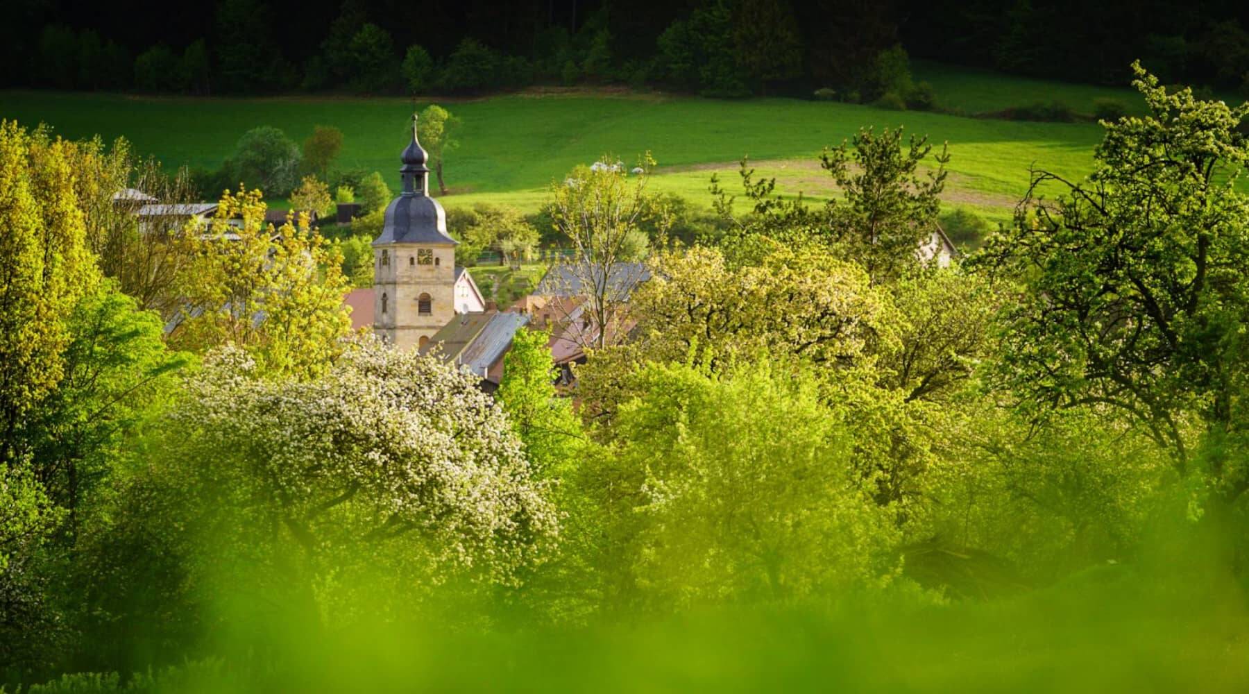 Ein Bild aus der Ferne von einem Kirchturm, der zwischen grünen Bäumen und Büschen hervorragt.