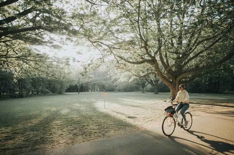 A cyclist on a paved cycle path that leads past a sparse meadow in the forest - as an example image for the cycle tour through the volcanoes in the Upper Palatinate.