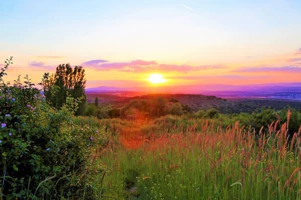 Beautiful yellow-purple sunset over the gentle meadows and hills of the Upper Palatinate - a picturesque view that makes you want to go on a nature holiday.