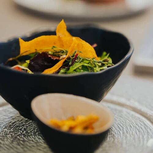 Frischer Salat mit bunten Gemüsetoppings in einer stilvollen Schale – ein Beispiel für hochwertiges Catering für private Feiern in den Hollerhöfen als Event Location.