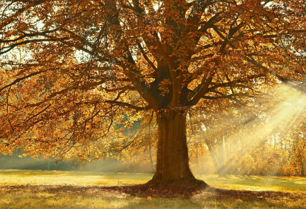 Autumn Holiday in Bavaria: Nature, Tranquillity and Local Delights at the Hollerhöfe