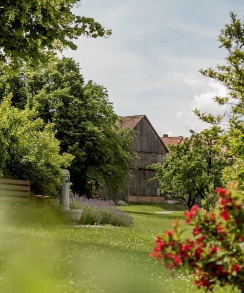 Der grüne Garten der Hollerhöfe mit Bäumen, rot blühenden Büschen und Blick auf eine große Holzscheune im Hintergrund. Das Bild steht sinnbildlich für einen erholsamen Sommerurlaub in Bayern.
